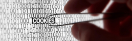 Is Apple our Online-Privacy Vigilante? Is Apple our Online-Privacy Vigilante?