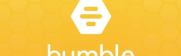 Bumble Without Gender: A Speculative Approach to Dating Apps Without Data Bias