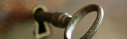 How free is Open Access?