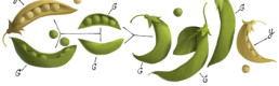 Google’s Doodles: How transforming logo can empower a brand