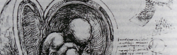 On Spheres and Media Theory On Spheres and Media Theory