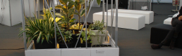 PICNIC 08 – De Variegata Setup PICNIC 08 – De Variegata Setup