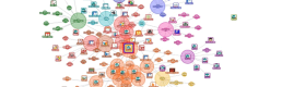 Researching Wikipedia: Activity Streams & Document Network Location Researching Wikipedia: Activity Streams & Document Network Location