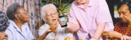 New Media at KLM Open 2012 – New app for oldies. New Media at KLM Open 2012 – New app for oldies.