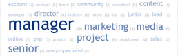 Analyzing “new media” job postings in The Netherlands Analyzing “new media” job postings in The Netherlands