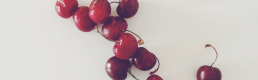 Orto: a New Media solution for horticulturists Orto: a New Media solution for horticulturists