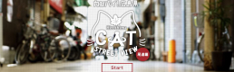 Here, kitty kitty: Interactive Cat Street View Map Here, kitty kitty: Interactive Cat Street View Map