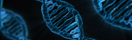 Managing the ‘self’: your DNA online