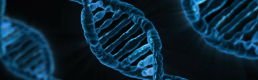 Managing the ‘self’: your DNA online Managing the ‘self’: your DNA online