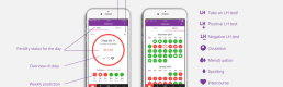 Controlled Wombs: How a Hip Contraceptive App Reinforces Binary Gender Roles