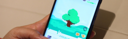 Forest at Fingertips – Making Every day an Earth Day! Forest at Fingertips – Making Every day an Earth Day!