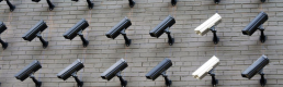 “Dadfindboy”: How activists in Hong Kong are hijacking state tools of surveillance “Dadfindboy”: How activists in Hong Kong are hijacking state tools of surveillance