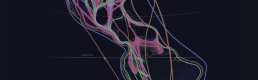 Technological Migration: New Media and the Protection of Migratory Species Technological Migration: New Media and the Protection of Migratory Species