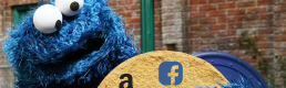 Cut the Cookie: Dark Patterns in BIG DATA Cut the Cookie: Dark Patterns in BIG DATA