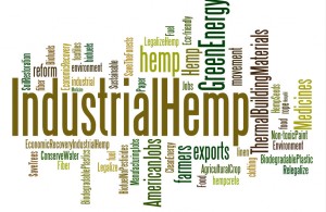 Industrial-Hemp-Cloud