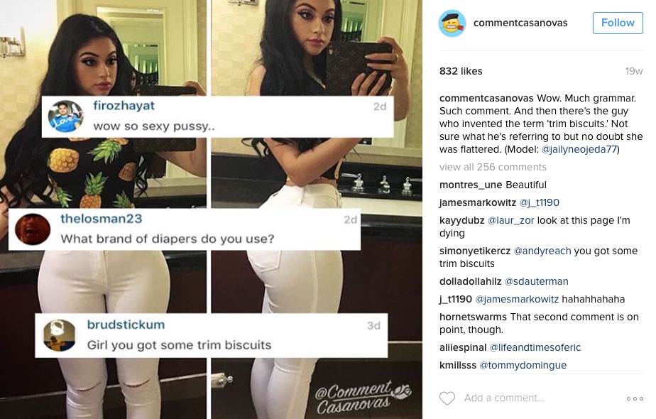 Examples of abusive behaviour on Instagram by @ommentcasanovas
